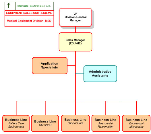 Lsu Organizational Chart